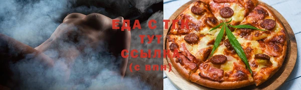 мдпв Богородск