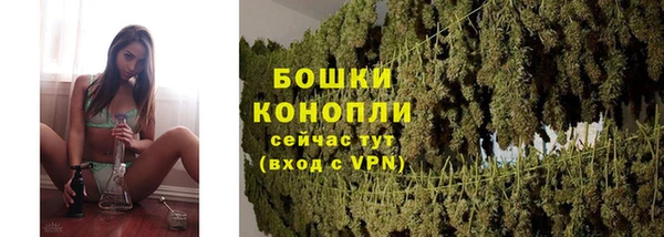 мдпв Богородск