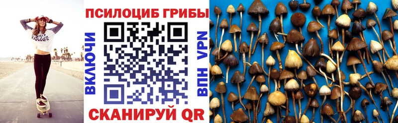 наркотики  блэк спрут зеркало  Галлюциногенные грибы Psilocybine cubensis  Борисоглебск 
